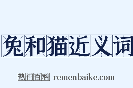 兔和猫近义词是什么意思的图片